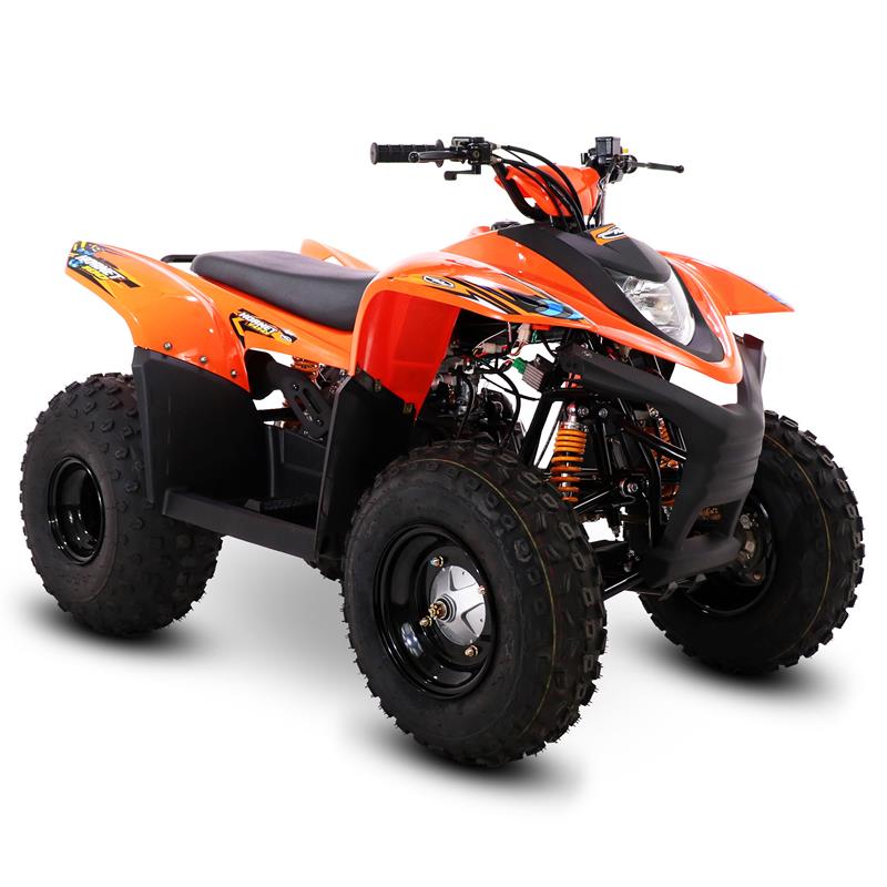 Dualways SMC Hornet 100